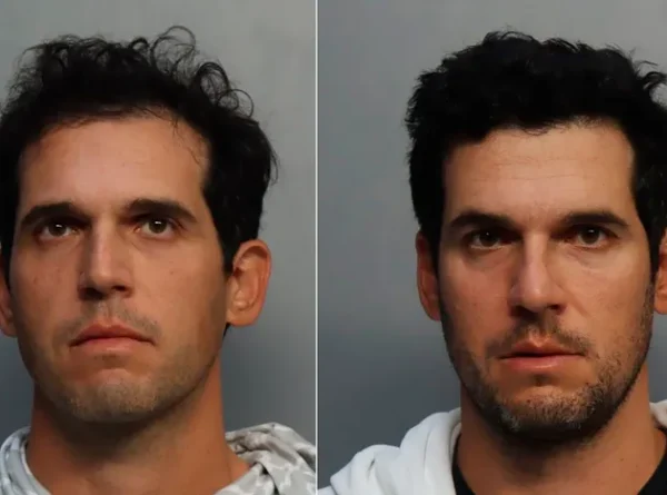 Tal, Alon, and Oren Alexander Arrests: What Are the Charges?